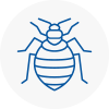 Bed Bug Extermination In Brownhills