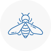 Bee Nest Removal Brownhills