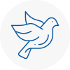 Bird Prevention Brownhills