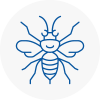 Brownhills Hornet Nest Removals