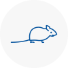 Mice Exterminators In Brownhills