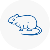 Rat Control Brownhills
