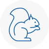 Brownhills Rodent Removals