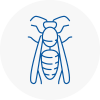 Brownhills Wasp Nest Removal